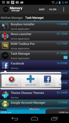 Screenshot of the application Memory Manager - #1