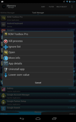 Screenshot of the application Memory Manager - #3
