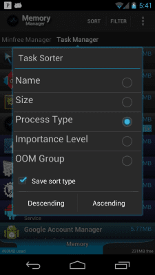 Screenshot of the application Memory Manager - #8