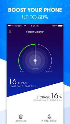 Screenshot of the application Falcon Cleaner - #1