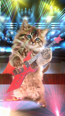 Screenshot of the application Talking cat. Dancing! - #5