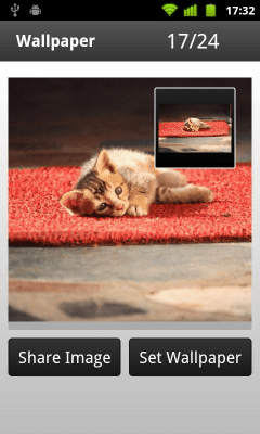 Screenshot of the application Epshot wallpaper - #5