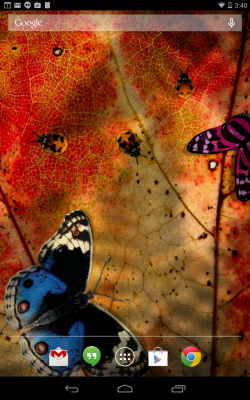 Screenshot of the application Friendly Bugs Free L.Wallpaper - #5