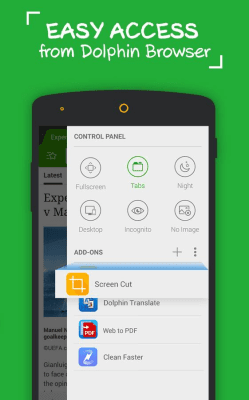 Screenshot of the application Dolphin Screen Cut - #4