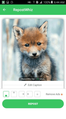 Screenshot of the application RepostWhiz (Video & Photos) - #1