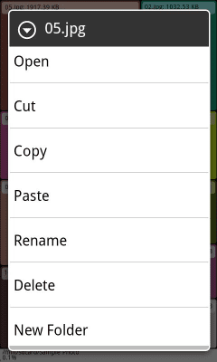 Screenshot of the application Grid Size Free File Manager - #3