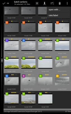 Screenshot of the application RawVisionDemo - #13