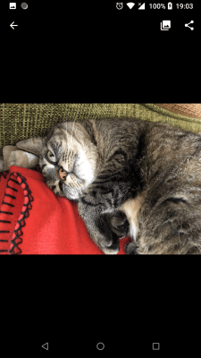 Screenshot of the application Luma - #3