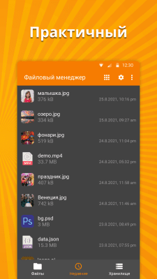 Screenshot of the application Simple File Manager - #3