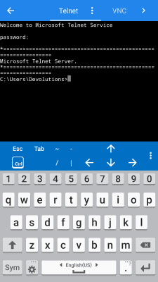 Screenshot of the application Remote Desktop Manager - #8