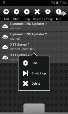 Screenshot of the application X11 Server - #1