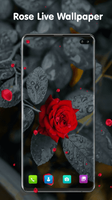 Screenshot of the application Transparent Live Wallpaper - #5