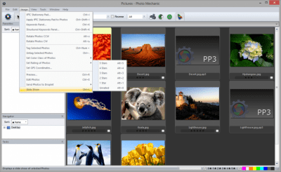 Screenshot of the application Photo Mechanic - #4