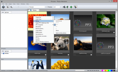 Screenshot of the application Photo Mechanic - #6