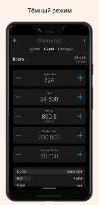 Screenshot of the application Monetal - #6