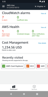 Screenshot of the application AWS Console - #1