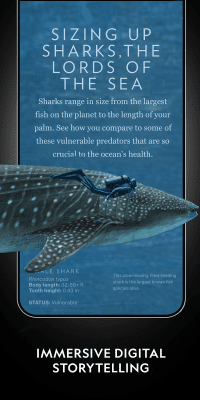 Screenshot of the application National Geographic - #3