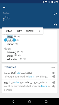 Screenshot of the application Arabic English Dictionary - #2