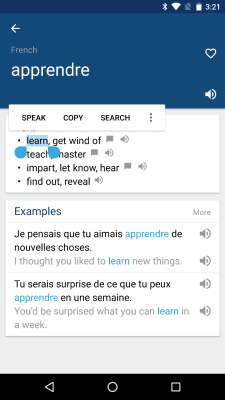 Screenshot of the application French English Dictionary - #2