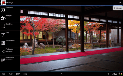 Screenshot of the application Obenyko - #12