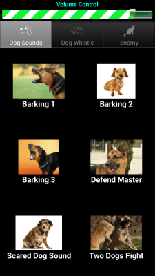 Screenshot of the application Dog Teaser - #1