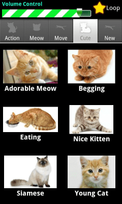 Screenshot of the application Dexati Cat Sounds - #3