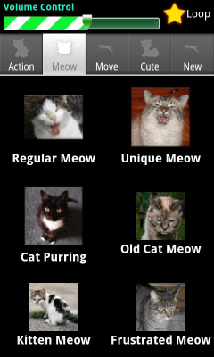 Screenshot of the application Dexati Cat Sounds - #5