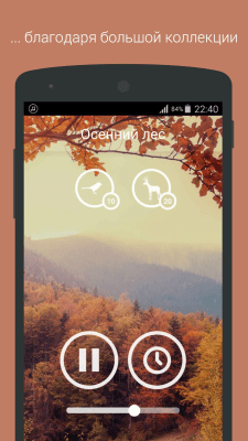 Screenshot of the application Music for meditation - #7