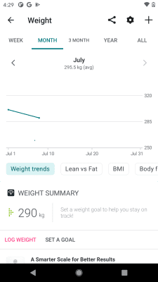 Screenshot of the application Fitbit - #6