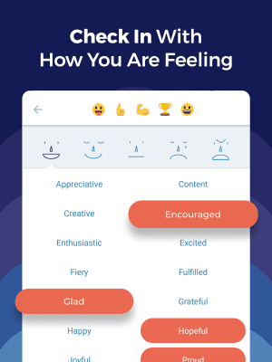 Screenshot of the application Stop, Breathe & Think - #5
