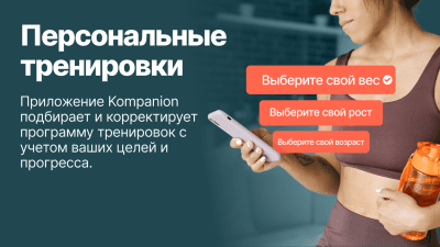 Screenshot of the application Kompanion - #3