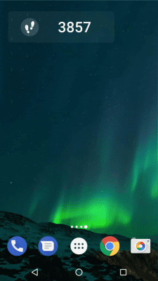 Screenshot of the application Pedometer - Step & Calorie Counter - #7