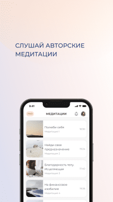 Screenshot of the application Wispence - #6
