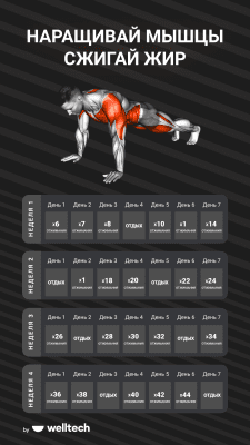 Screenshot of the application Muscle Booster Home Training - #1