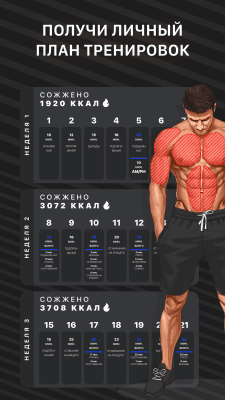 Screenshot of the application Muscle Booster Home Training - #2