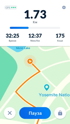 Screenshot of the application Pedometer - free step and calorie counter - #4