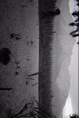 Screenshot of the application Rain Sounds for Sleep - #9