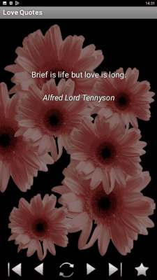 Screenshot of the application Love quotes from Droid27 - #3