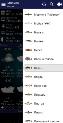 Screenshot of the application Fishing forecast - #2