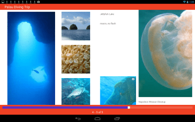 Screenshot of the application Roxio MediaBook Reader - #3