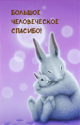 Screenshot of the application Greetify - #4