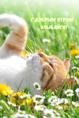 Screenshot of the application Greetify - #5