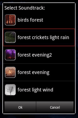 Screenshot of the application Forest Sounds to Relax - #2