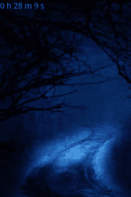 Screenshot of the application Forest Sounds to Relax - #4