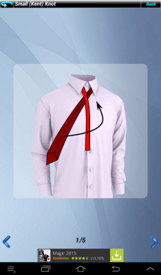 Screenshot of the application Tie Platinum Tie - #9