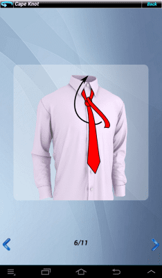 Screenshot of the application Tie Platinum Tie - #13