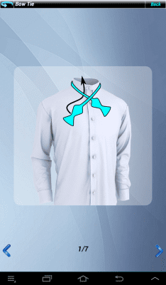 Screenshot of the application Tie Platinum Tie - #19