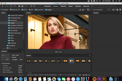 Screenshot of the application Adobe Bridge - #1