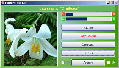 Screenshot of the application FlowersTest - #1