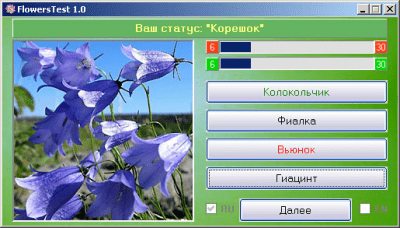 Screenshot of the application FlowersTest - #2